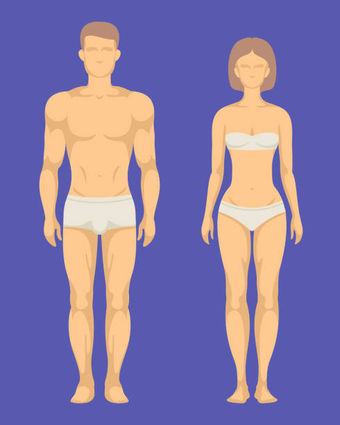 ilustraciones, imágenes clip art, dibujos animados e iconos de stock de cuerpo sano del hombre y de la mujer ilustración plana del sistema del vector - sport couple isolated muscular build