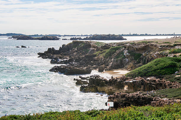 istock Rugged Coast at Penguin Island 578286282