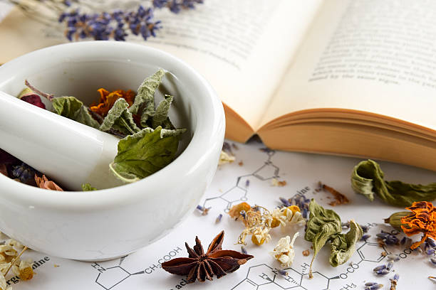 apothecary natural - mortar and pestle lavender chamomile herb fotografías e imágenes de stock