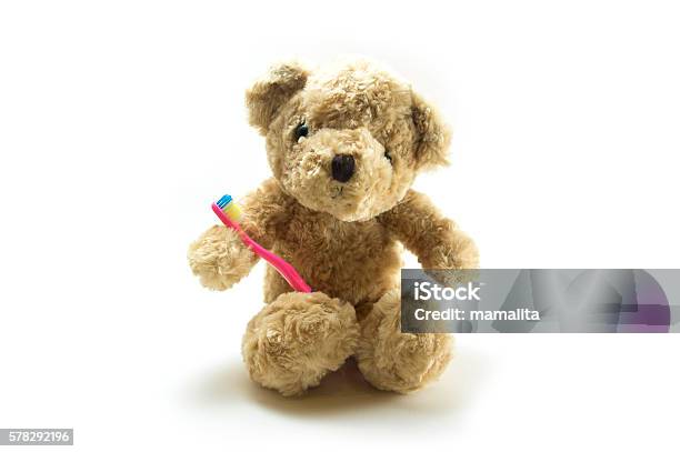 Teddy Bear With A Kid Toothbrush Stock Photo - Download Image Now - Bacterium, Brushing Teeth, Close-up
