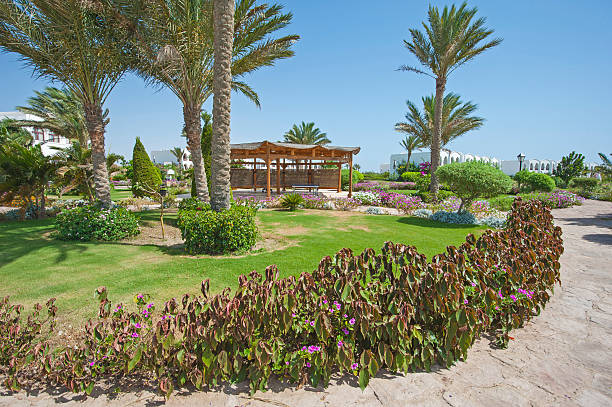 istock Tropical gardens in a luxury hotel resort 578294286