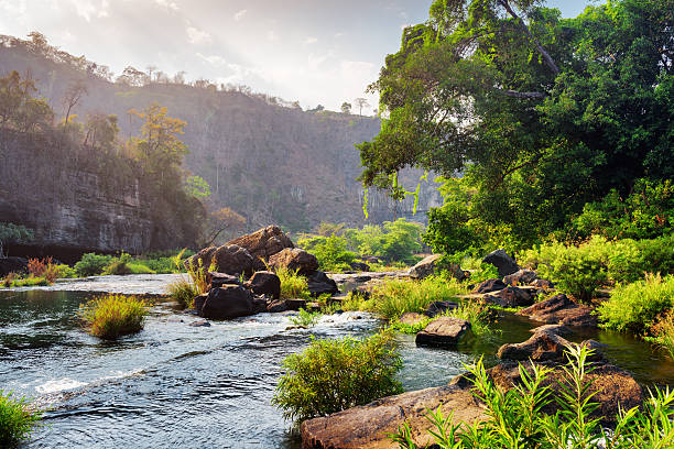 istock Beautiful river with crystal clear water among woods and rocks 578296602