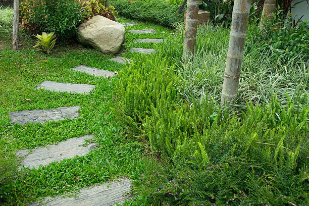 istock stone walkway in the garden 578299144
