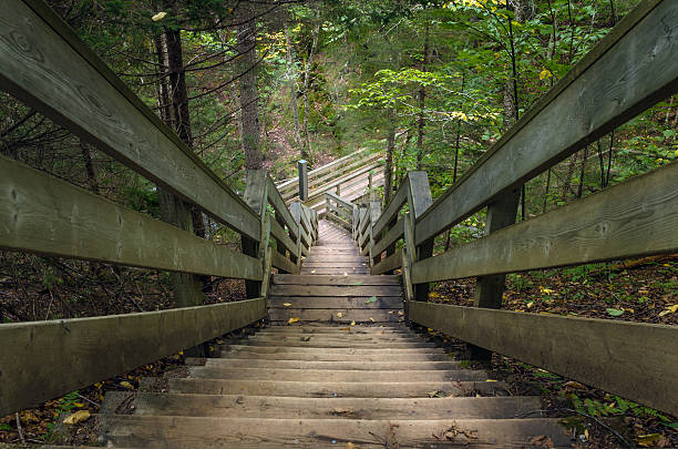 istock Deserted Downhill Walkway in a Forest 578300476