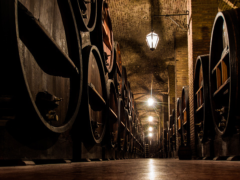 Barrels in a wine cellar in Mendoza, Argentina