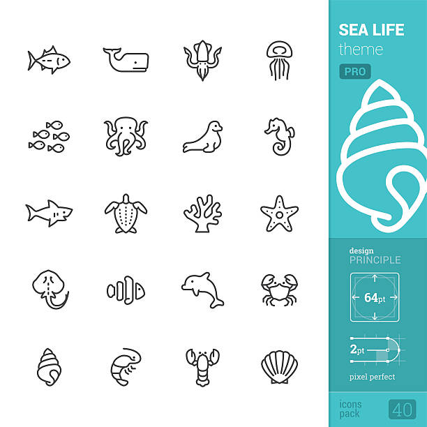 ilustrações, clipart, desenhos animados e ícones de tema da vida marinha, ícones vetoriais de contorno - pacote pro - vector reef coral shark