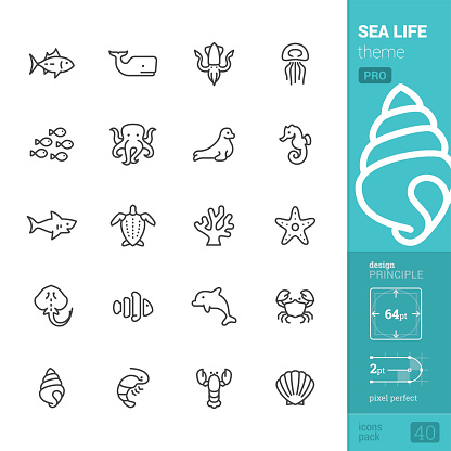 Sea Life and animals theme.