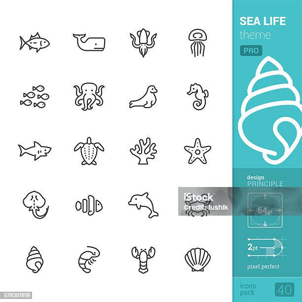 Sea Life Theme Outline Vector Icons Pro Pack Stock Illustration - Download Image Now - Sea, Sea Life, Fish