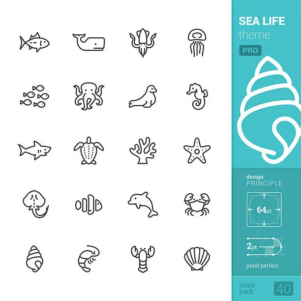 Vector illustration of Sea Life theme, outline vector icons - PRO pack