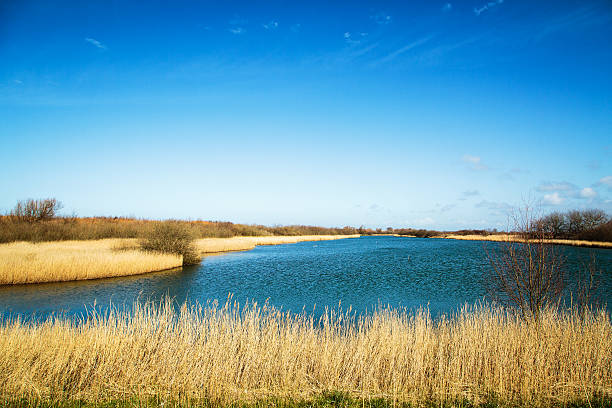istock Lake Panorama at Zoutelande 578301862