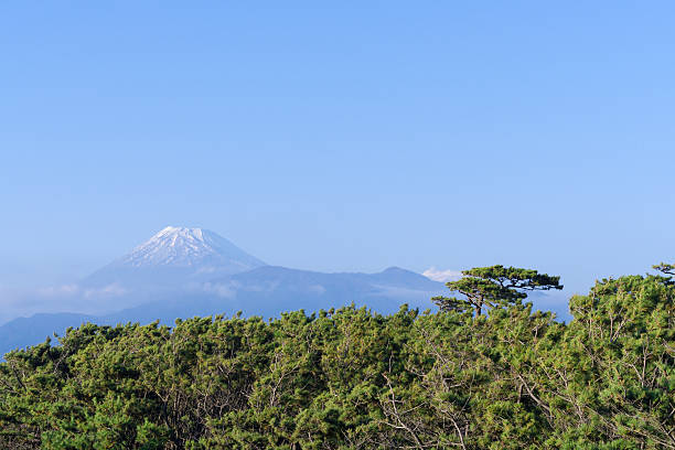 istock Mount Fuji and Senbonmatsubara 578302208