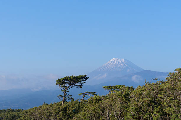 istock Mount Fuji and Senbonmatsubara 578302286