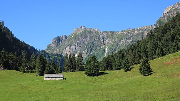 istock Green meadow, forest and mountains in the Oberseetal 578303616