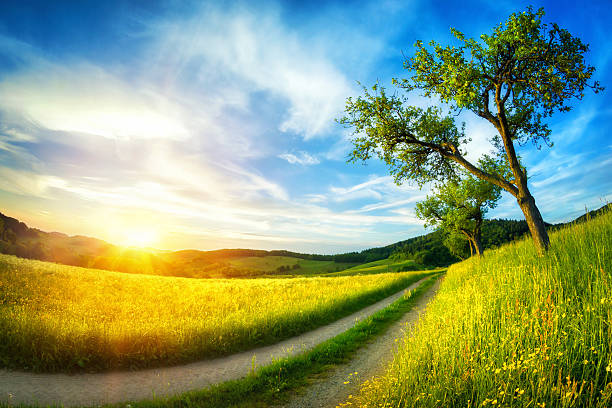 istock Idyllic rural landscape at sunset 578304322