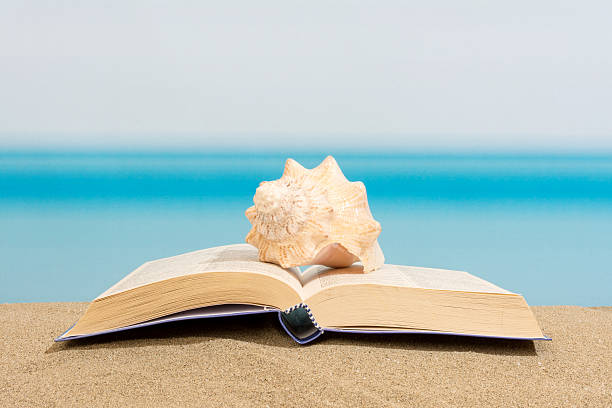 istock Book on the sand, relax on the beach 578304896