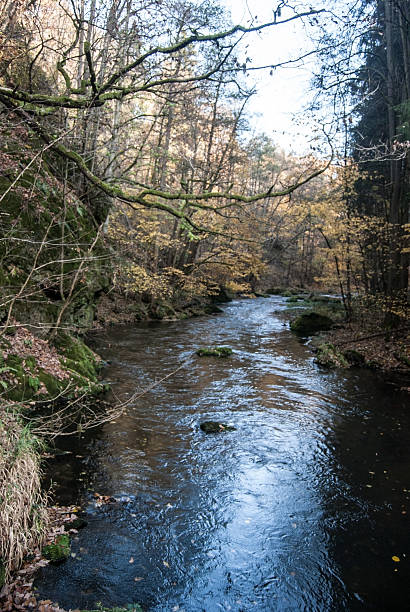 istock autumn Triebtal valley with Trieb river in Vogtland 578305052