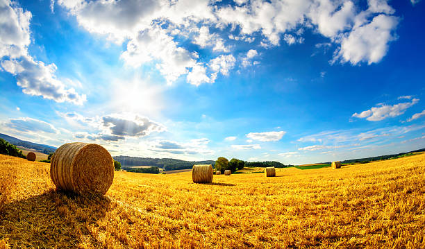 istock The sun shining upon rural landscape 578305860