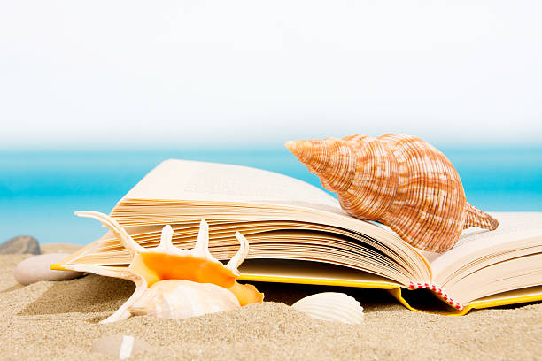 istock Book on the sand, relax on the beach 578306016