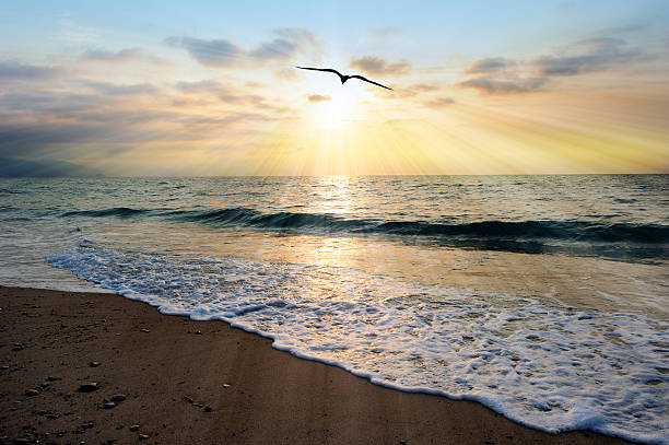 Ocean Sunset Rays Ocean sunset rays is an ethereal ocean scenic with sun beams bursting forth from the setting sun as a single soul moves toward the light and an ocean wave gently comes to shore. baptism photos stock pictures, royalty-free photos & images