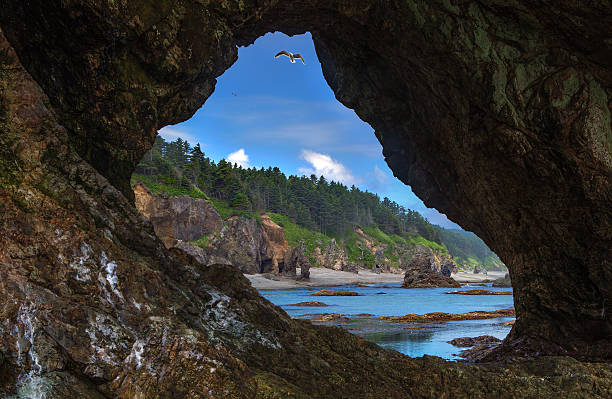 vista attraverso la grotta - isola di sakhalin foto e immagini stock