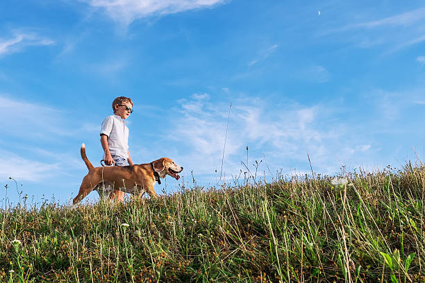 istock Boy with dog walk together on green hill 578554526