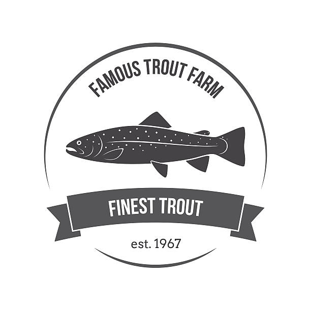 ilustrações de stock, clip art, desenhos animados e ícones de vector trout emblem, label. template for markets, food packaging - trout fishing silhouette salmon