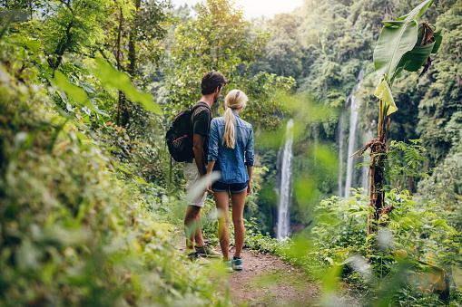 Rear view of young couple looking at waterfall. Couple of hikers standing in forest and viewing waterfall.