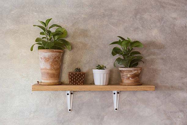 istock Small tree on wooden shelf in vintage style 578557816
