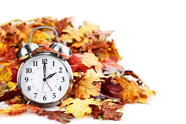 Alarm clock in colorful autumn leaves isolated against a white background with light shadow and shallow depth of field. Daylight savings time concept.