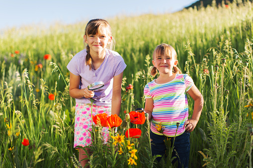 Two elementary age girls study poppies on a school field trip in Utah, USA. They are dressed in casual clothing, with the older one holding a magnifying glass and are excited to learn about botany. They are both smiling while looking at the camera.