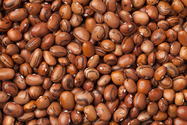 istock Dried eye of the goat beans 578560652