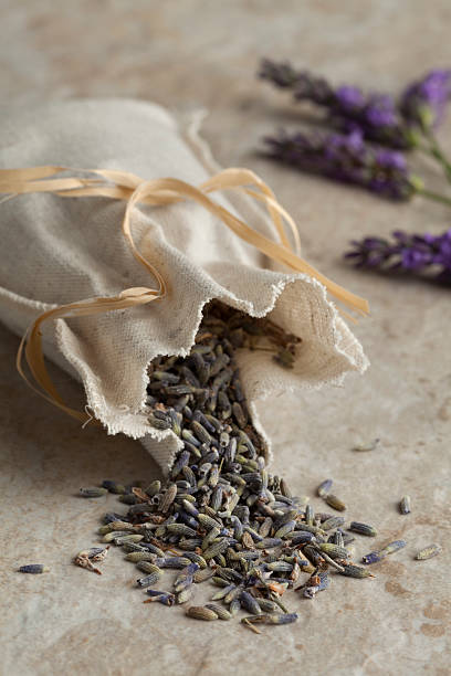 istock Sack with dried lavender flowers 578561424