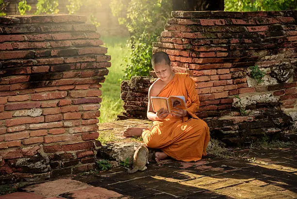 Young Buddhist novice monk reading and study outside with a cat lying on the side