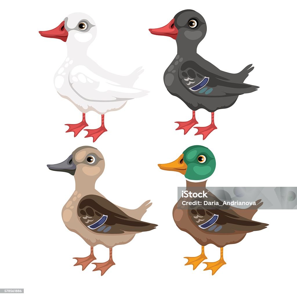 Ilustración de Cuatro Patos De Dibujos Animados En Diferentes Colores  Vector y más Vectores Libres de Derechos de Pato - Carne de caza - iStock
