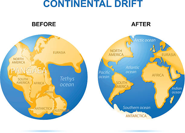dryf kontynentalny na ziemi - pangaea map earth triassic stock illustrations