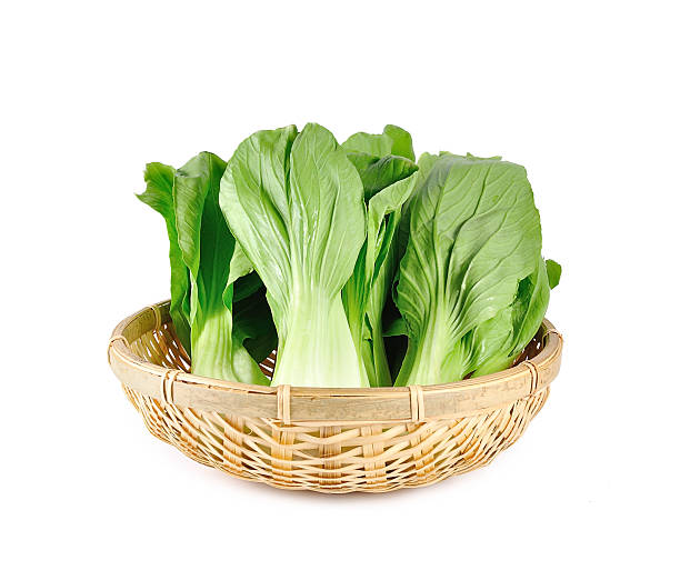 istock Mockpak choi isolated on white background 578569714