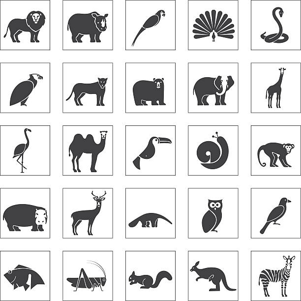 Animals icons set Animals icons set anteater stock illustrations