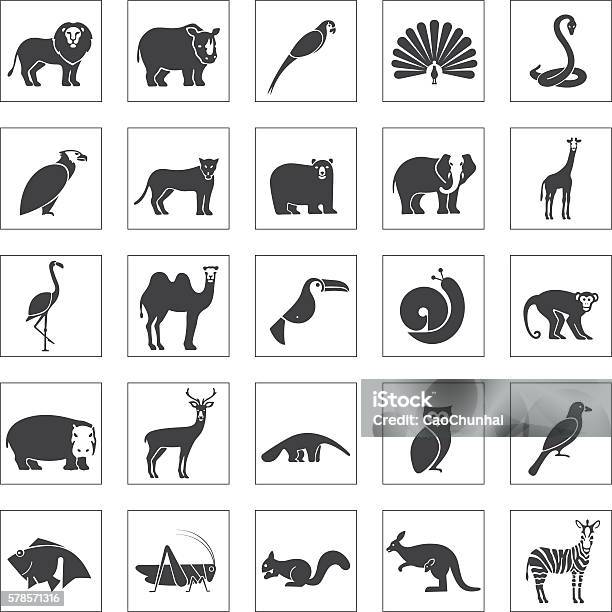 Animals Icons Set Stock Illustration - Download Image Now - Icon Symbol, Peacock, Hawk - Bird