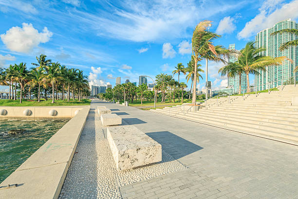 istock Bordwalk of Miami Downtown 578574582