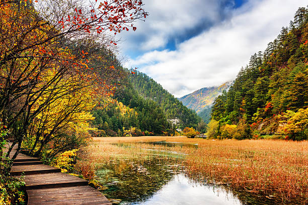 istock Boardwalk along lake with crystal clear water among fall woods 578575098
