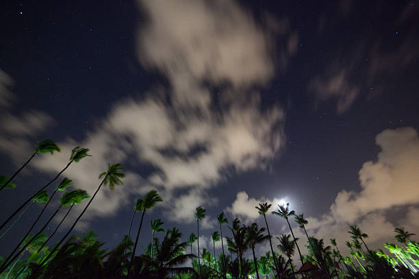 istock beautiful night sky, stars and the palm trees 578577646