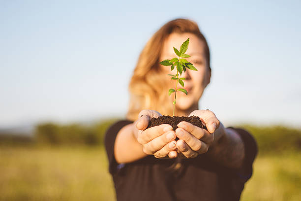 대마초 공장을 야외에서 들고 소녀 - leaf lookers 뉴스 사진 이미지