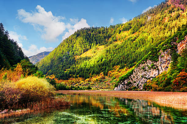 istock Beautiful view of scenic river with crystal water 578580088