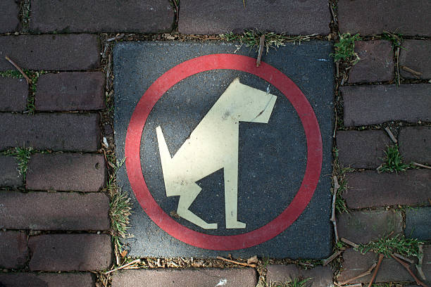 Don't let your dog poop here! sign on the pavement