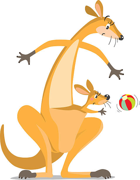 ilustraciones, imágenes clip art, dibujos animados e iconos de stock de dos divertidos canguros sorprendidos con una pelota - young animal mother kangaroo family