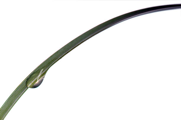 Water, Macro, Drop, Leaf, Blade of Grass, Raindrop,
