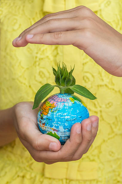istock Globe with him to dissolve from sunflower 578581768