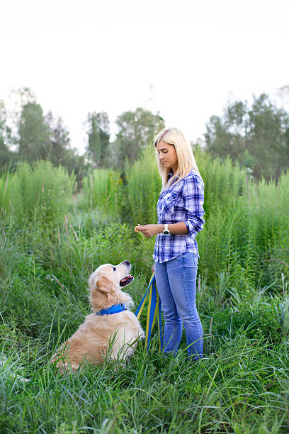 istock Girl walking with a dog 578584038