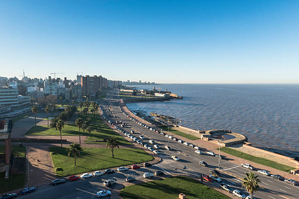 Montevideo - Uruguay Montevideo, Uruguay - July 8, 2016: Aerial view of the city and the Rambla of Montevideo, along with nature, the coastline, vehicles and buildings in Uruguay uruguay photos stock pictures, royalty-free photos & images