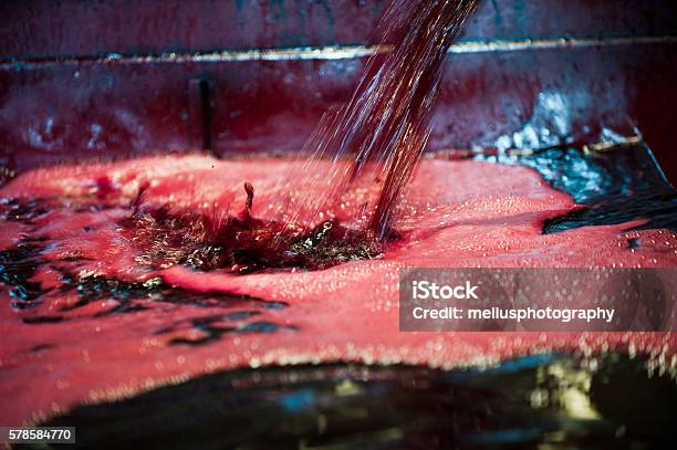 Pressing The Grapes Aerating Pressed Grape Juice Stock Photo - Download Image Now - Winemaking, Alcohol - Drink, Basement